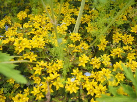 b0246758_20444765.jpg