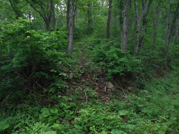 c0294658_23070796.jpg