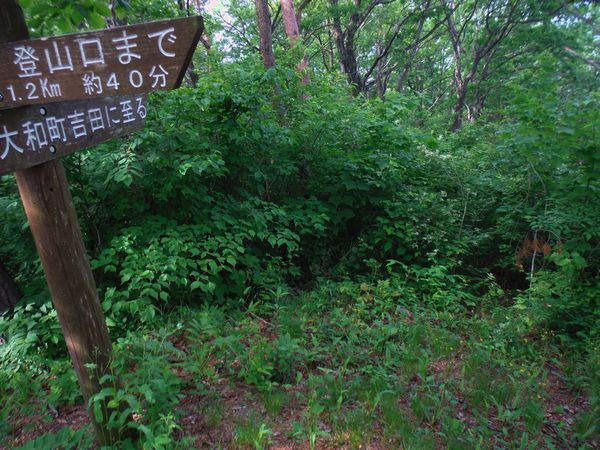 c0294658_23165405.jpg