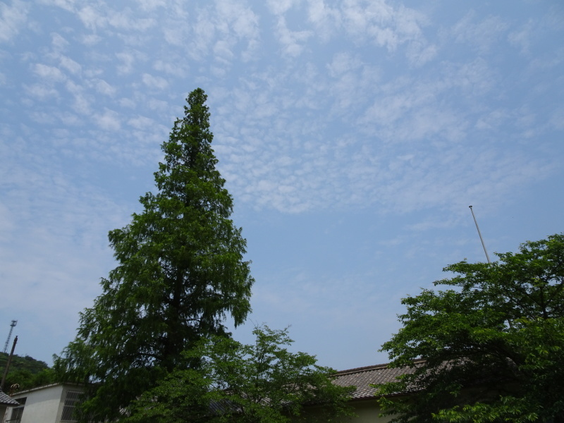 c0108460_01514328.jpg