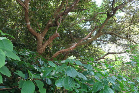 e0292172_21262356.jpg