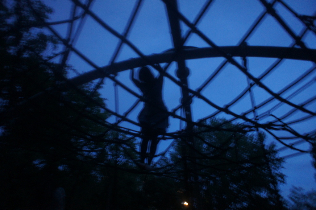 c0180686_06454038.jpg