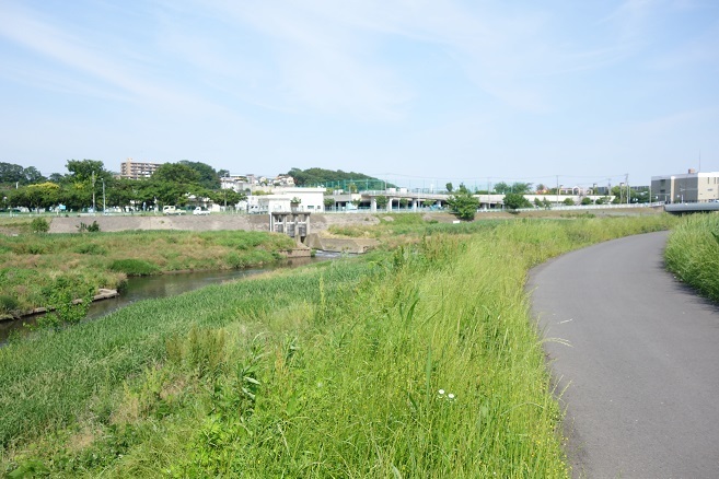 d0183387_00071323.jpg