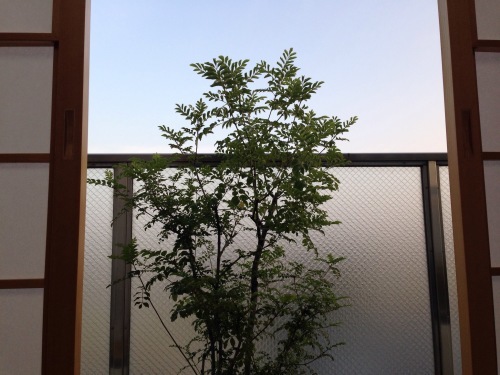 f0347891_17520789.jpeg