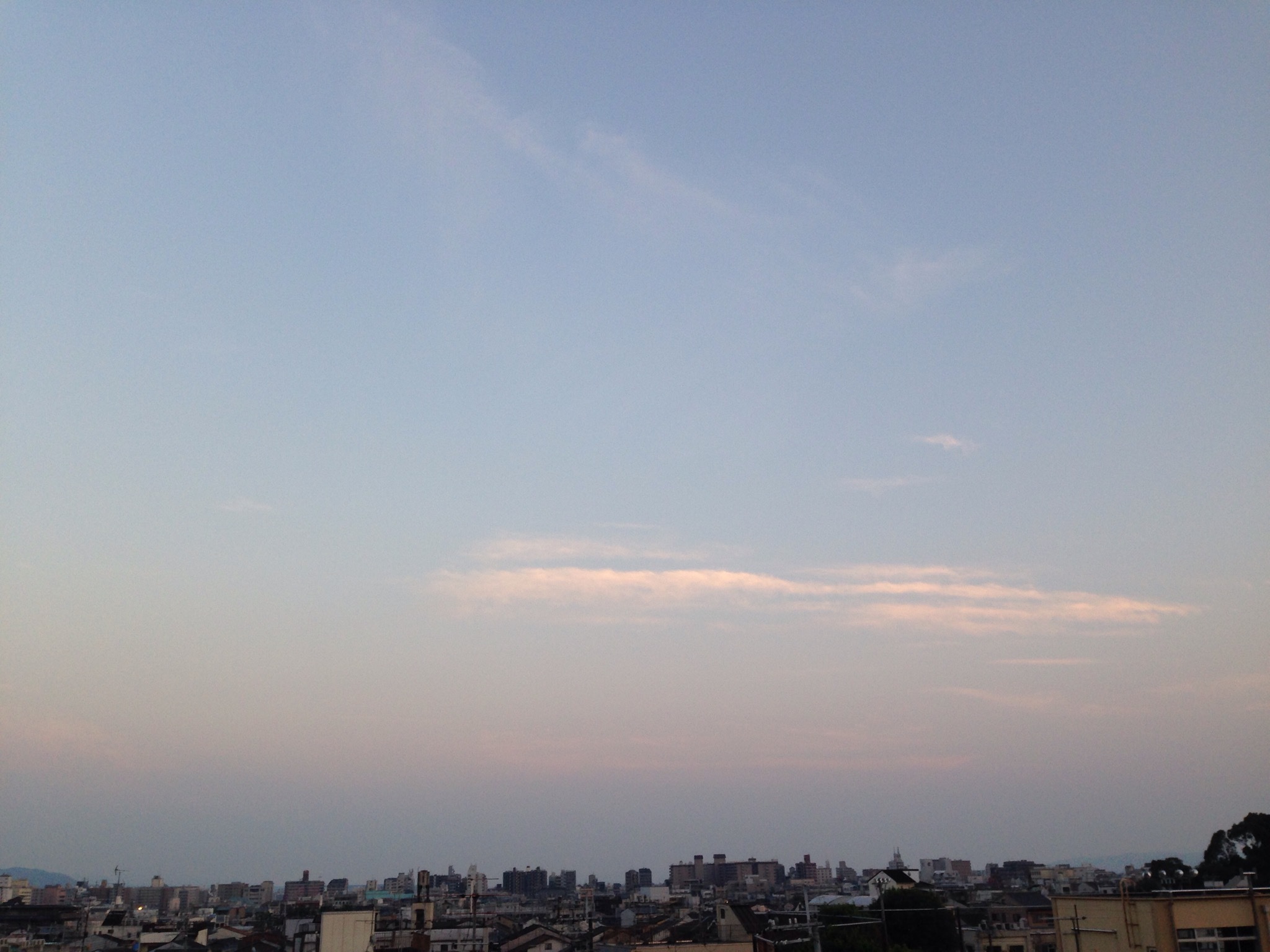 f0347891_17521831.jpeg