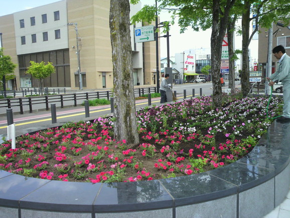 d0206796_19335019.jpg