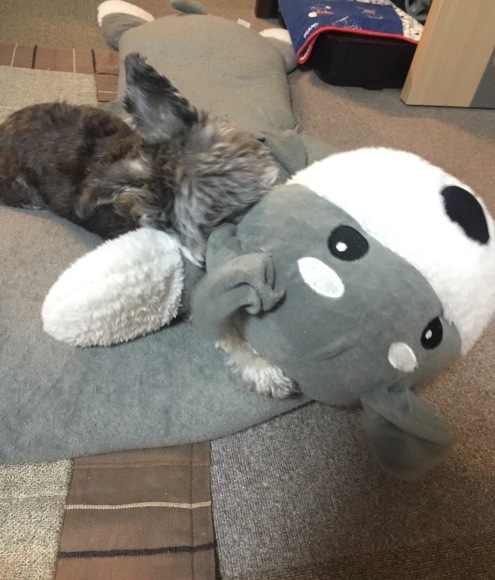 b0188998_15421846.jpeg