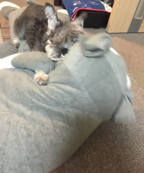 b0188998_15423925.jpeg