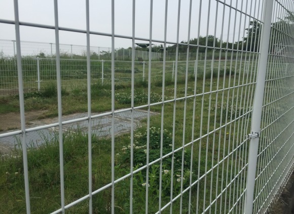 b0188998_15425245.jpeg