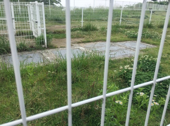 b0188998_15430846.jpeg