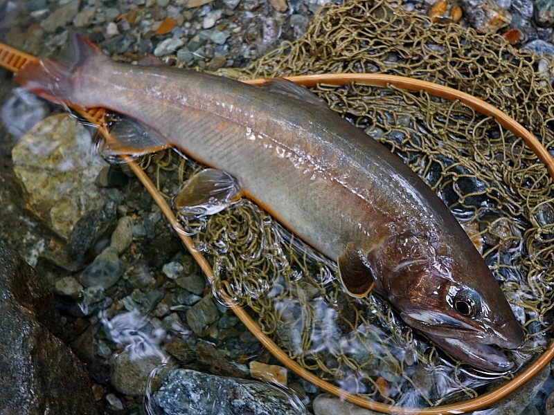 c0339900_11183132.jpg