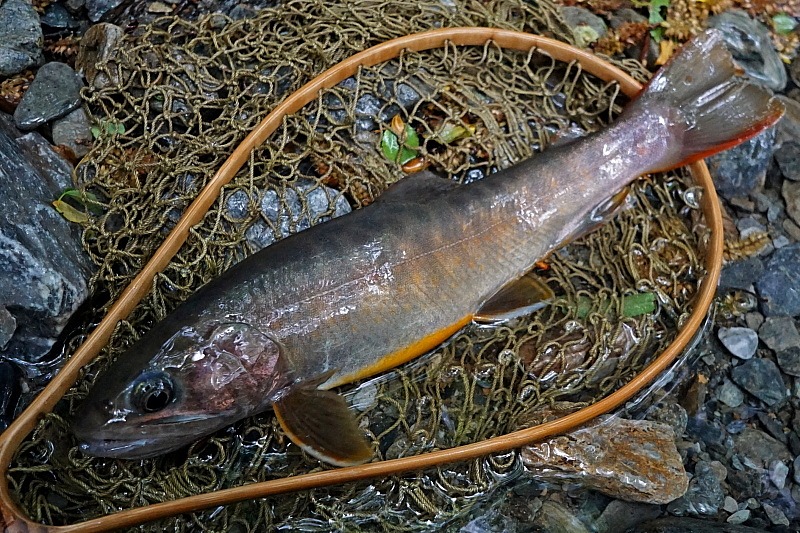 c0339900_1153964.jpg