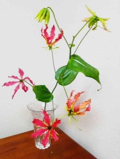 c0278306_16343980.jpg