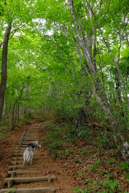 b0207615_16395437.jpg