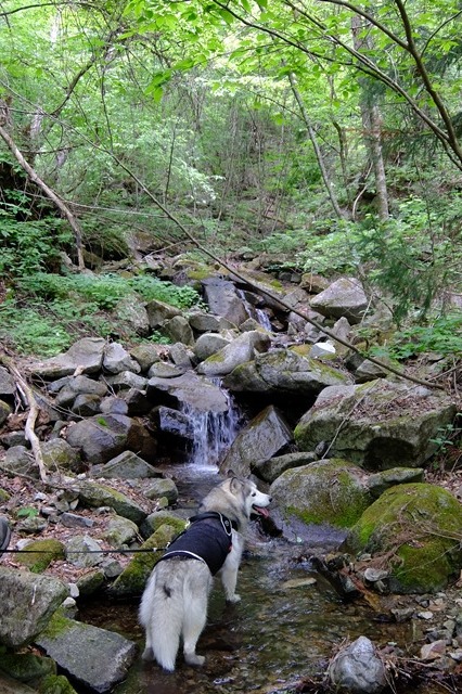 b0207615_16400930.jpg