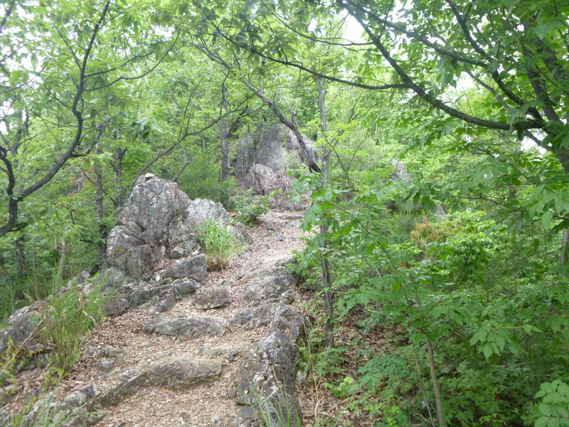 d0170615_1711296.jpg