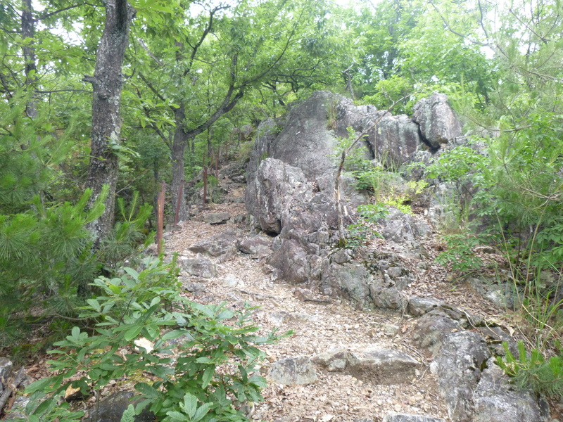 d0170615_17114891.jpg