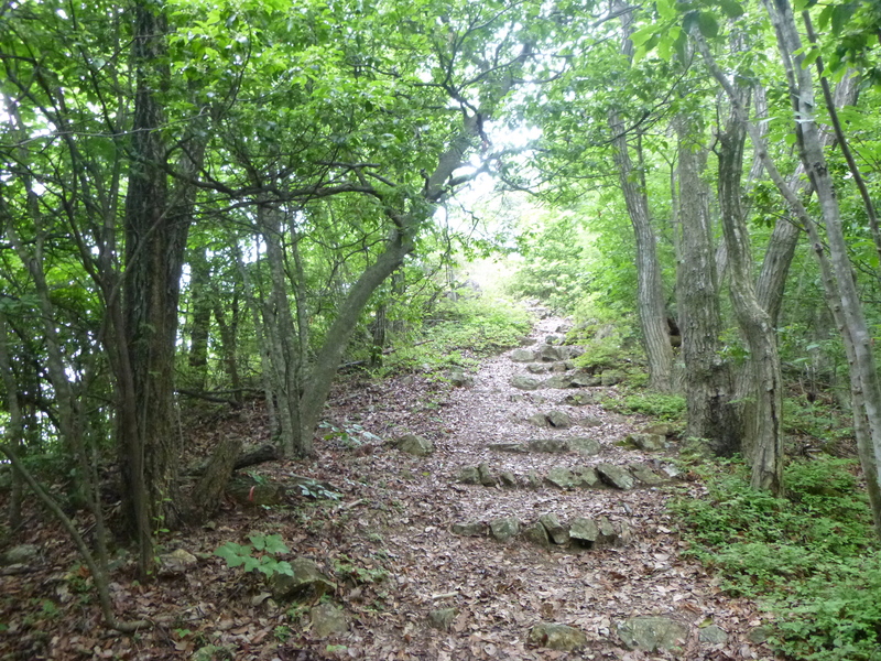 d0170615_1712521.jpg