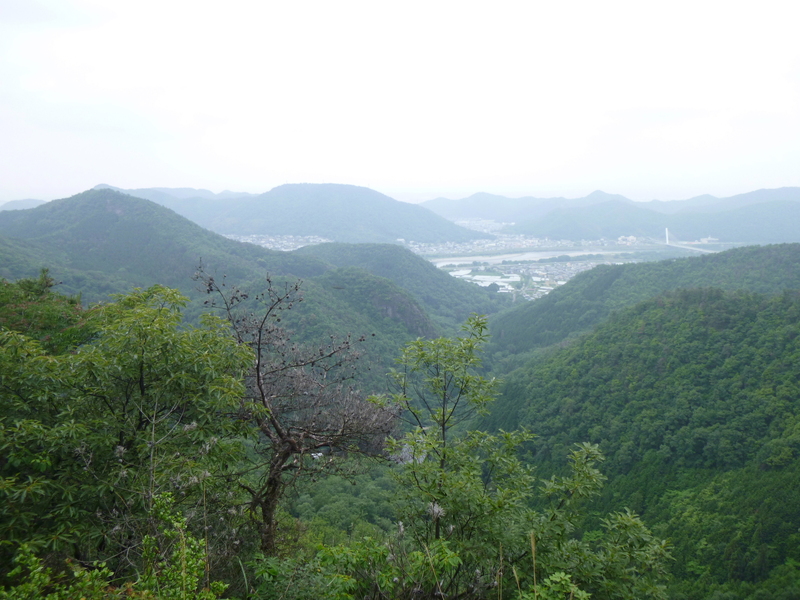 d0170615_17134638.jpg