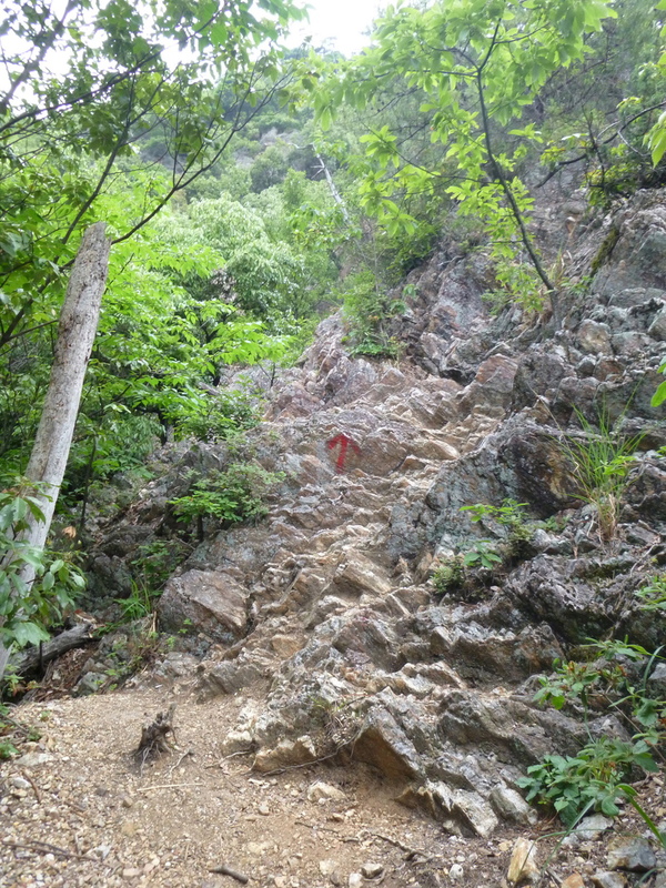 d0170615_1713785.jpg