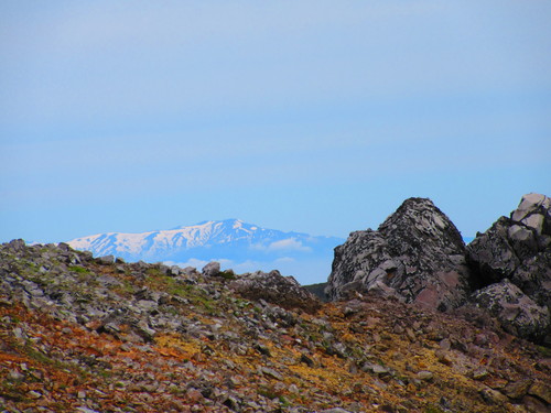 a0248728_16132960.jpg