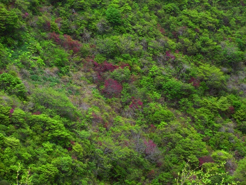 a0248728_16375340.jpg