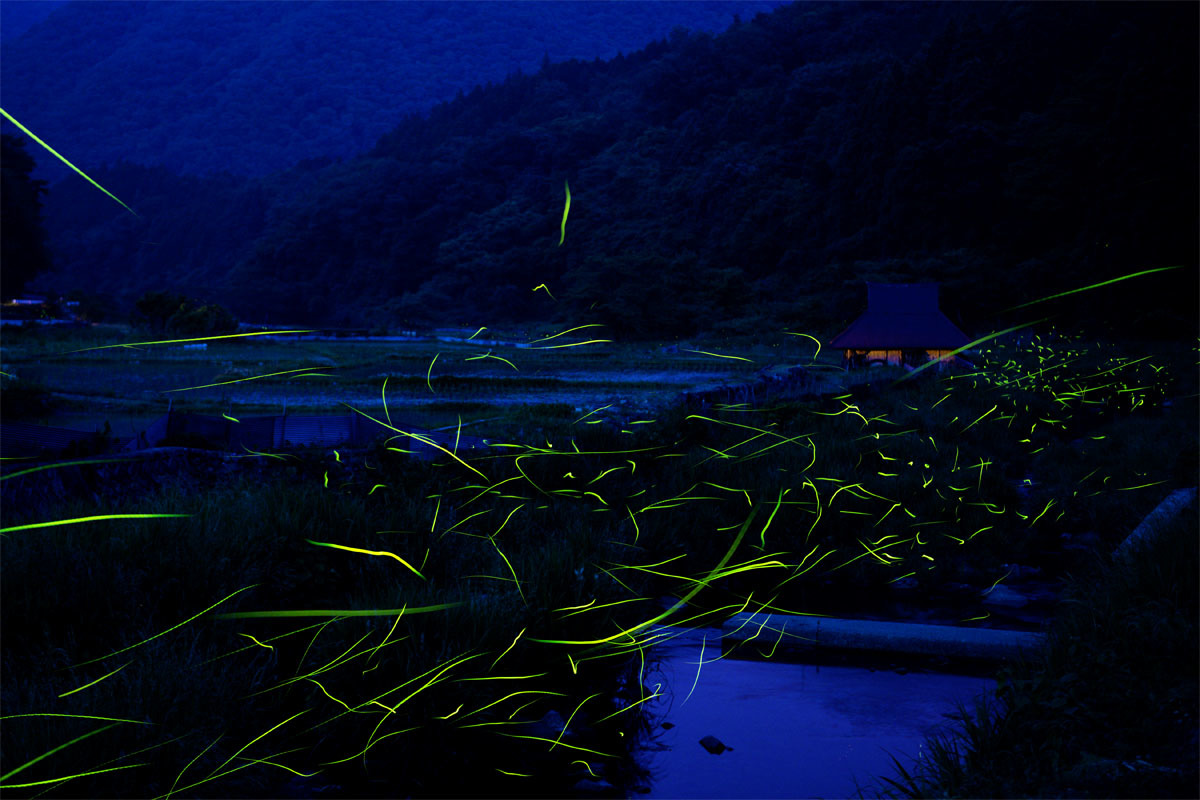 d0029829_10231948.jpg
