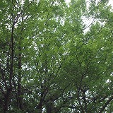 a0148431_19161213.jpg