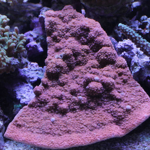d0221436_19533989.jpg