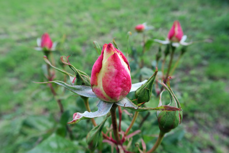 f0234936_675781.jpg