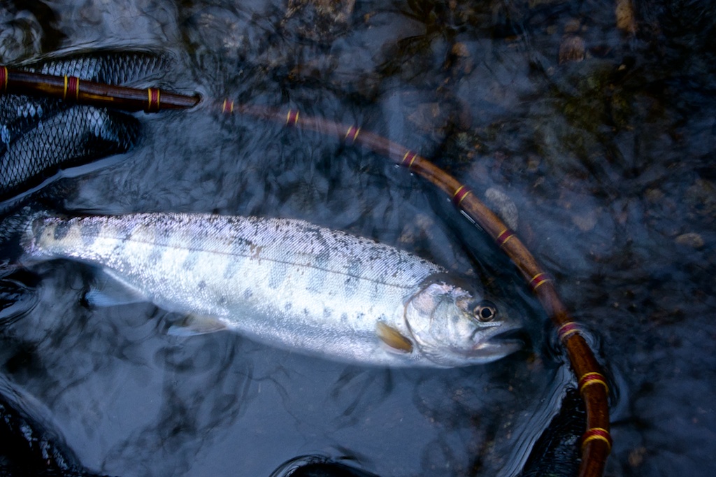 f0280739_223020100.jpg