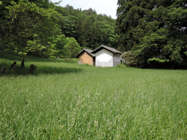 b0075140_921842.jpg