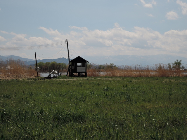 b0075140_92493.jpg