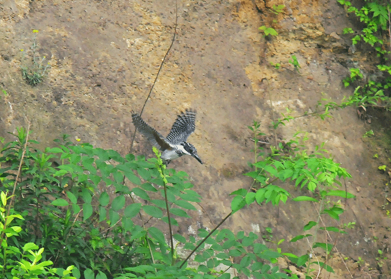 d0290240_09071727.gif