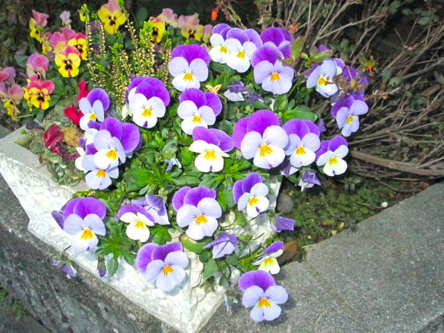 e0073548_23153742.jpg