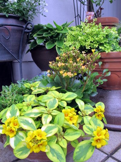 c0147952_2101266.jpg