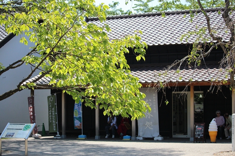 b0250154_20082540.jpg