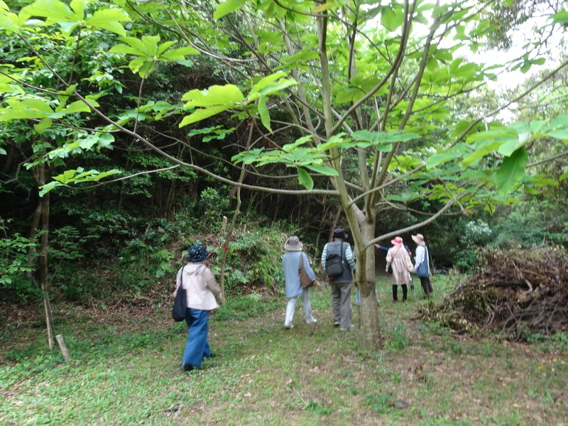 c0108460_22363152.jpg