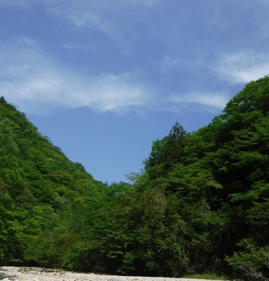 b0304662_12550939.jpg
