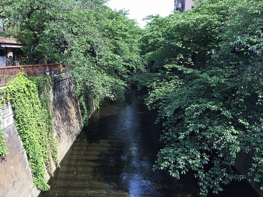 b0145863_19105118.jpg
