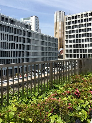 b0145863_19153057.jpg