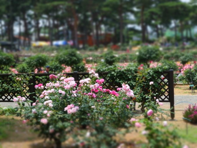 f0345263_23160788.jpg