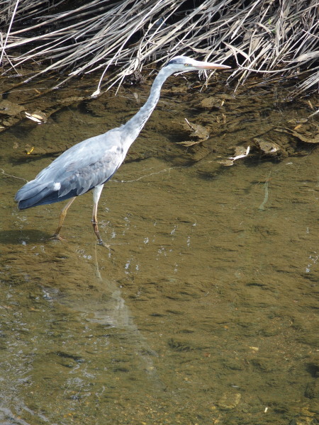 c0122670_22000657.jpg