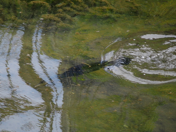 c0122670_22044031.jpg