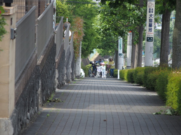 c0122670_22074186.jpg
