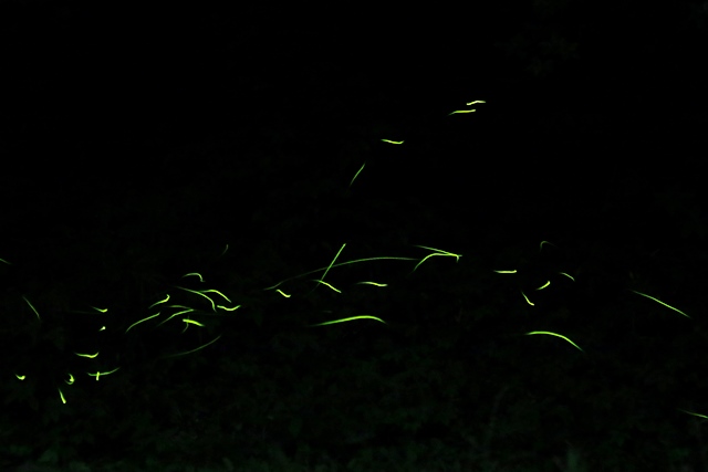 d0126577_1984549.jpg