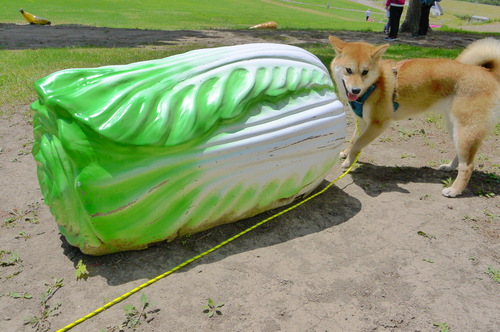 f0150377_21251156.jpg