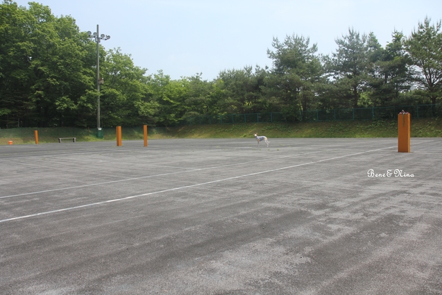 c0283778_1105134.jpg