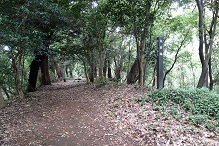 d0183387_23280056.jpg