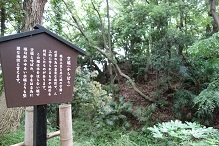 d0183387_23413250.jpg